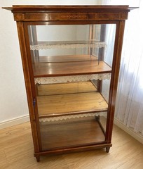 Antique Austro-Hungarian Biedermeier vitrine curio cabinet