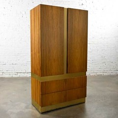 Vintage Modern Rosewood & Brass Plate Wardrobe Milo Baughman for Thayer Coggin