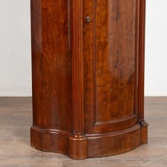 19th Century Danish Mahogany Narrow Column Cabinet