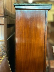 Antique Victorian Style Figured Display Cabinet