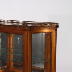 Antique French Louis XVI Gilt Wood & Ormolu Vitrine c1920