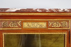 Transition display case in mahogany, gilded bronze and Martin varnish, circa …