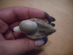 Vintage Miniature Seagull Made of Shells