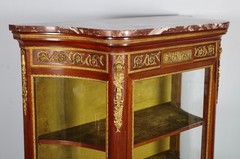 Transition display case in mahogany, gilded bronze and Martin varnish, circa …