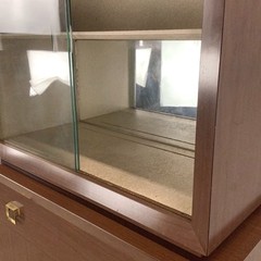 Mid-Century Display Cabinet