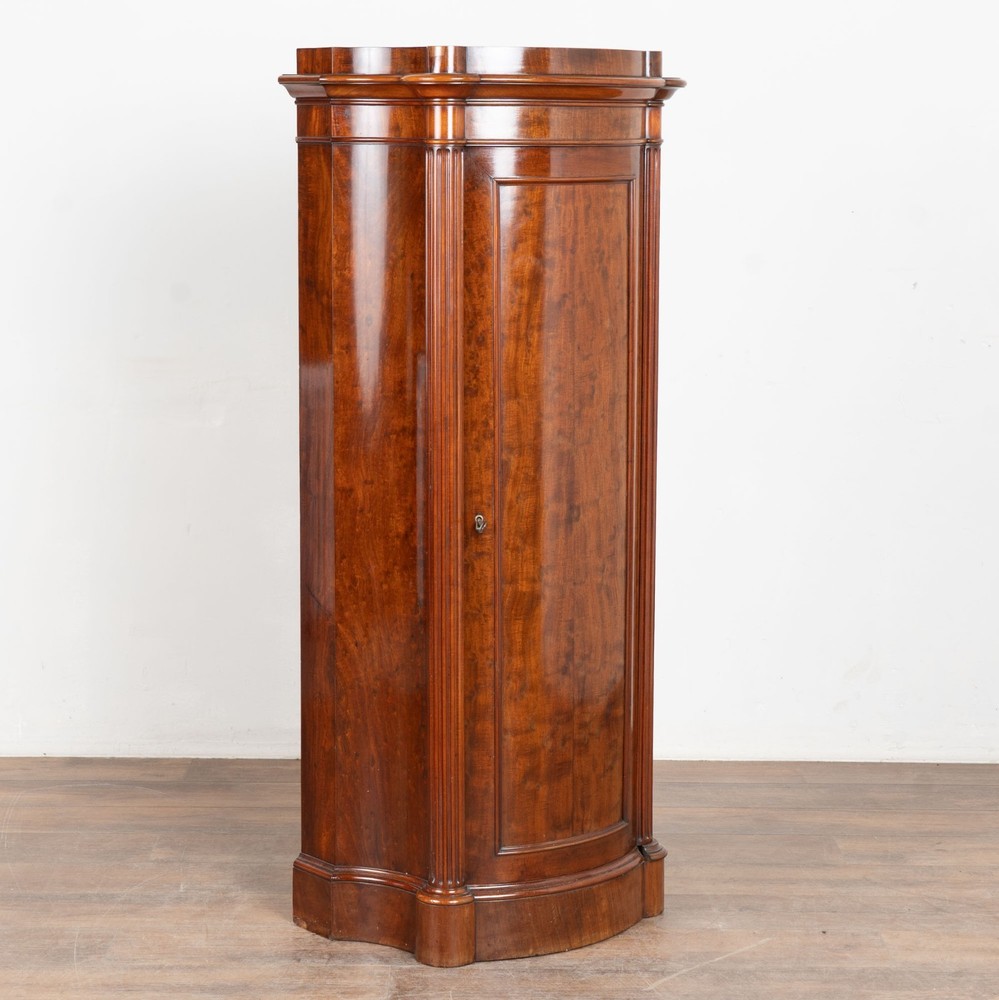 19th Century Danish Mahogany Narrow Column Cabinet