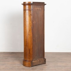 19th Century Danish Mahogany Veneer Column Cabinet with Single Door