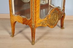 Mahogany and Gilded Bronze Transition Style Display Case, circa 1900