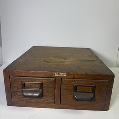 Rare Vintage Globe Wernicke Oak Card Catalog File Cabinet 2 Drawer Storage