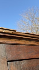 Antique Livery cabinet cupboard oak raised panel Pilgrim Period Farm House