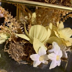 Vintage Butterfly Taxidermy Floral In Brass And Glass Curio Cabinet 8 1/4”x5”x4”
