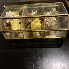 Vintage Butterfly Taxidermy Floral In Brass And Glass Curio Cabinet 8 1/4”x5”x4”