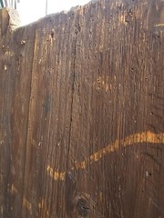 18th century antique American primitive cupboard cabinet from Salem