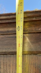 Antique Livery cabinet cupboard oak raised panel Pilgrim Period Farm House
