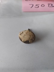Original Wilson Kitchen Cabinet Flour Bin Pull Knob Hoosier Cabinet Lot # 750 B
