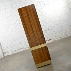 Vintage Modern Rosewood & Brass Plate Wardrobe Milo Baughman for Thayer Coggin