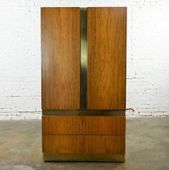 Vintage Modern Rosewood & Brass Plate Wardrobe Milo Baughman for Thayer Coggin
