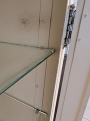 Vintage/Antique? Art Deco Metal Medical Cabinet