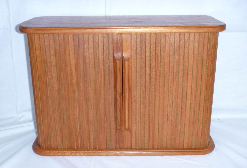 Vtg Mid Century Eppco Enterprises Teak Tambour Door Wall Mount Cabinet 18x12x8
