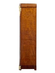19TH CENTURY FRENCH EMPIRE REVIVAL MAHOGANY CABINET