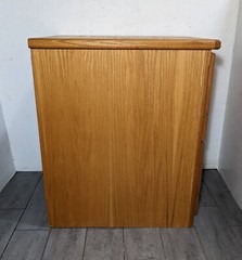 Vintage Heavy Duty Industrial Mission Oak Wood File Cabinet 2-Drawer T32A