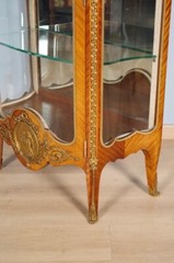 Mahogany and Gilded Bronze Transition Style Display Case, circa 1900