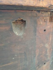 Grand American Mahogany Sideboard early 19thc