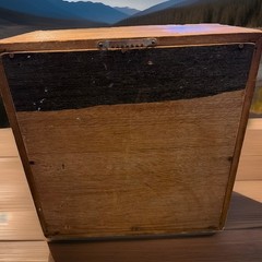 Antique Wooden Sterilizing Cabinet12.5 By 12.5 One Shelf Is Missing