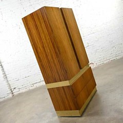 Vintage Modern Rosewood & Brass Plate Wardrobe Milo Baughman for Thayer Coggin