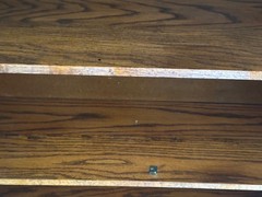 Antique Oak (4) Shelf Glass Door Cabinet