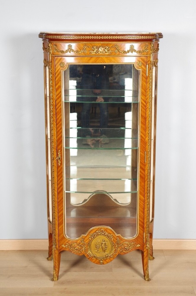Mahogany and Gilded Bronze Transition Style Display Case, circa 1900