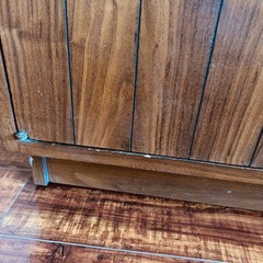 Vintage Lane Mid Century Modern MCM Storage Cabinet