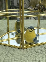 Geometric Mirrored Glass Vitrine & Brass, 2 Shelf Wall Hung Display Cabinet 10”