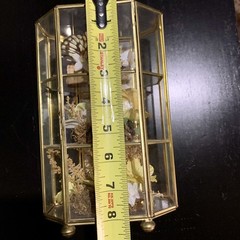 Vintage Butterfly Taxidermy Floral In Brass And Glass Curio Cabinet 8 1/4”x5”x4”