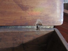 Pennsylvania Dutch Early American Antique Mini Chest 18th Century Tulips