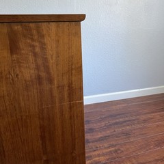 Vintage Lane Mid Century Modern MCM Storage Cabinet