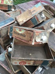 Bison Mfg Co Ltl Valley ny & Catt Cnty Cigar Boxes Antique Cabinet Drawers