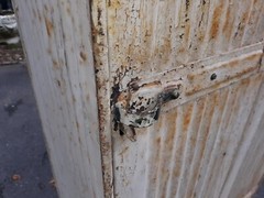 Antique Corrugated Steel Locker Storage Cabinet