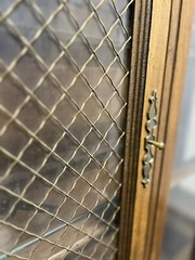 Antique Library / Decorated Liquor Cabinet