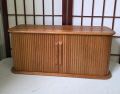 Vintage HTF Mid Century Eppco Enterprises Teak Tambour Door Wall Mount Cabinet