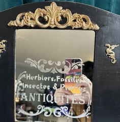 Collectors Cabinet, Dark Acedamia, Goth. One Of A Kind. Signed By Artist