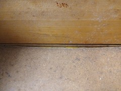 VTG 1950s Sewing Cabinet/End Table Spool-Notions Storage Some Refurbishing Needs
