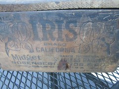 Antique painted cupboard. Orig Paint. Iris/ Baker Thompson/California