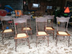 antique furniture Six chairs with caned seat in excellent original condition