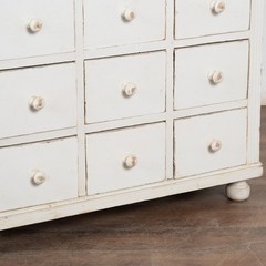 19th Century White Narrow Pine Bookcase Display Cabinet with Apothecary Drawers