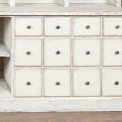 19th Century Large White Display Cabinet Bookcase Apothecary with 24 Drawers