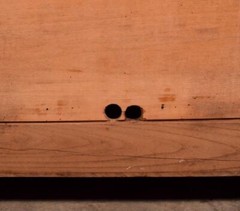 Antique French Cabinet Highly Carved Chestnut Wood w/Boy Girl and Bird (Macaw)