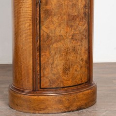 19th Century Danish Mahogany Veneer Column Cabinet with Single Door