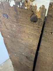 antique hanging corner cupboard pilgrim carved oak primitive 17th century