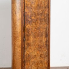19th Century Danish Mahogany Veneer Column Cabinet with Single Door